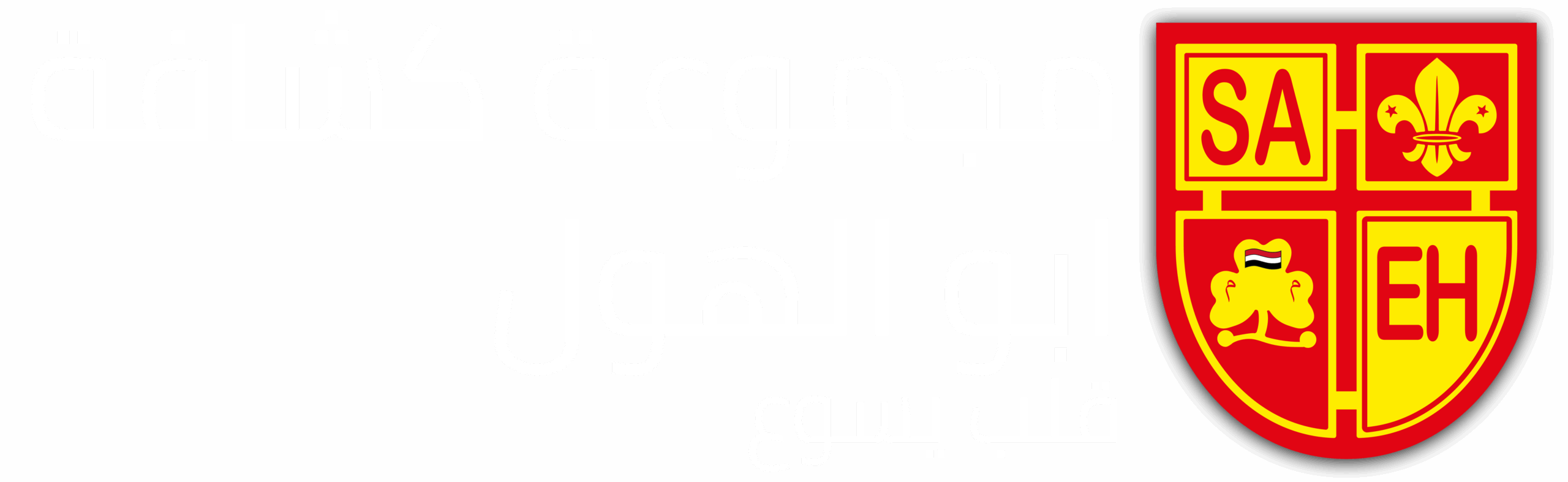 مجموعة كشافة ابو الهول - قلب يسوع